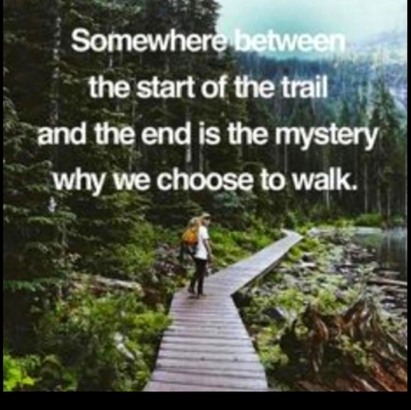 💍  DOUBLE Wedding RING QUILTED SHAM  Patchwork   100% COTTON  NWOT - Picture 14 of 16